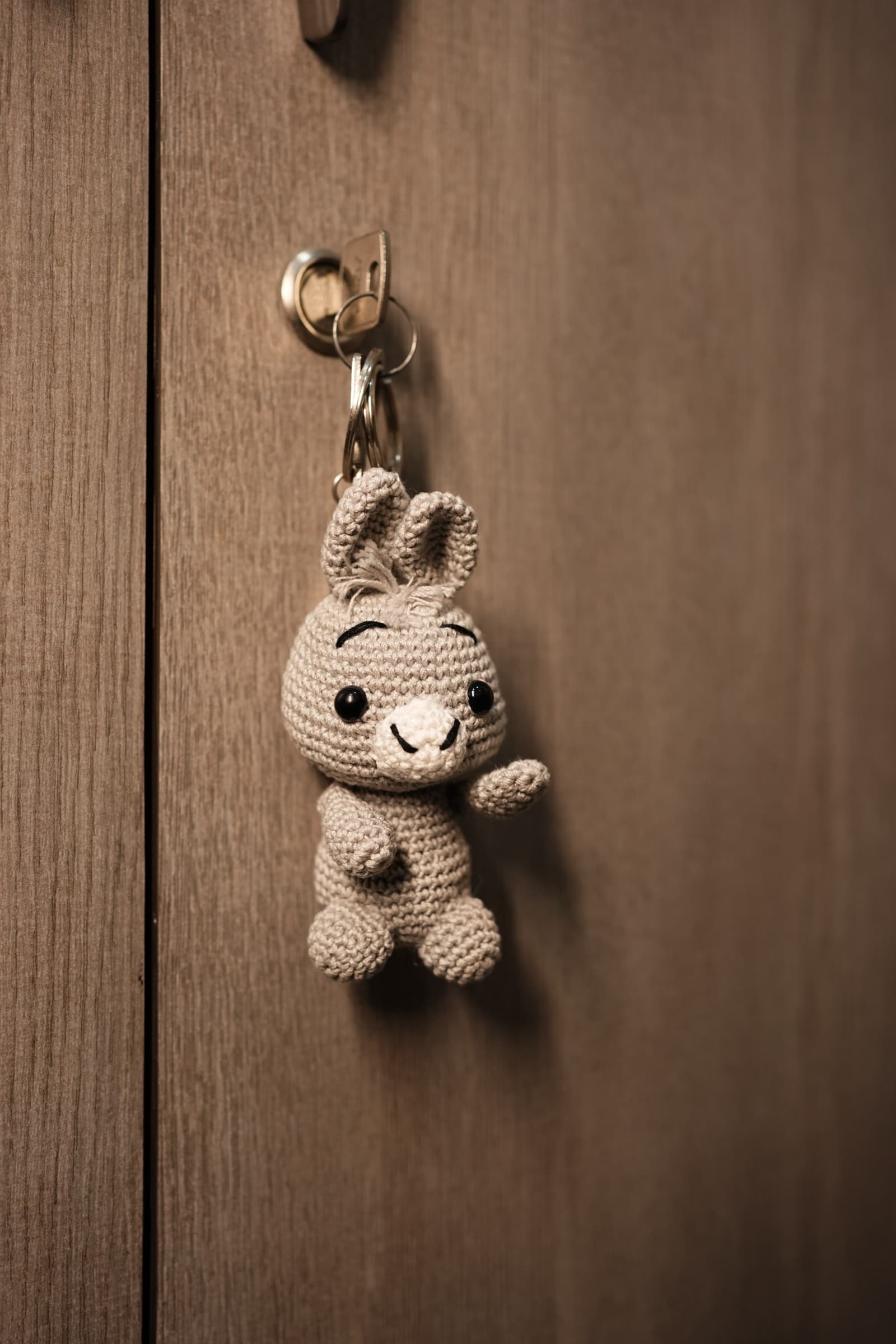 Dotty Donkey Keychain